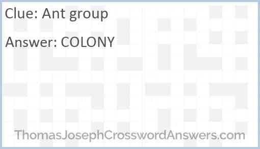 Ant group Answer