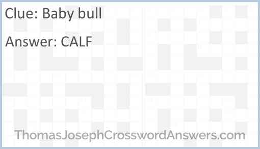 Baby bull Answer
