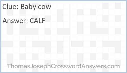 Baby cow Answer