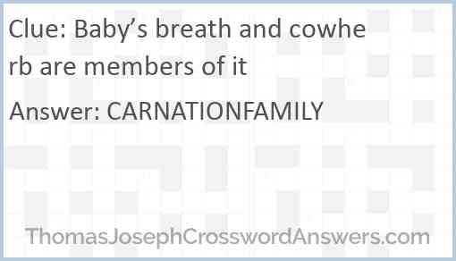 Baby’s breath and cowherb are members of it Answer