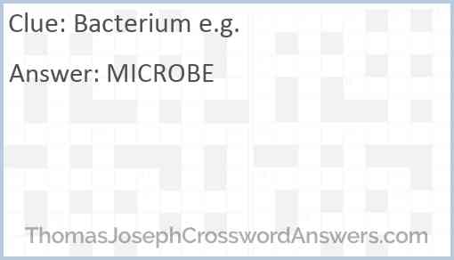 Bacterium e.g. Answer