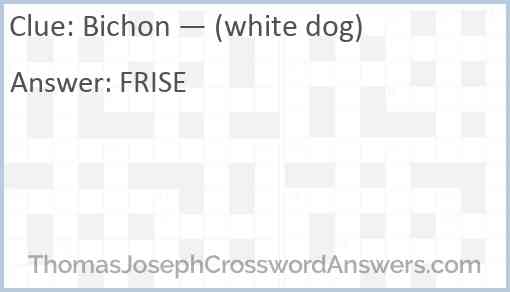 Bichon — (white dog) Answer