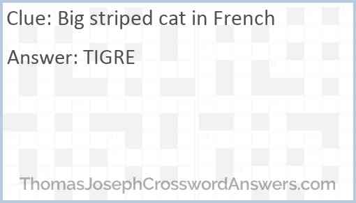 Big striped cat in French Answer
