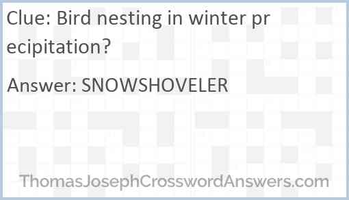 Bird nesting in winter precipitation? Answer