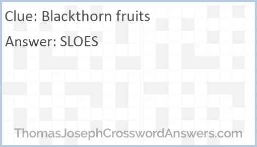Blackthorn fruits Answer