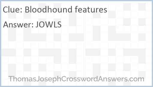 Bloodhound features Answer