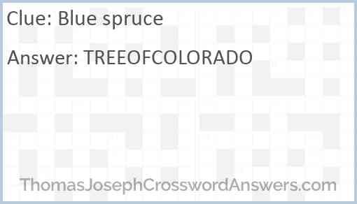 Blue spruce Answer