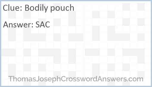 Bodily pouch Answer