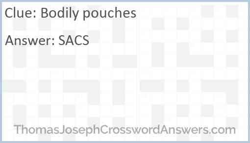 Bodily pouches Answer