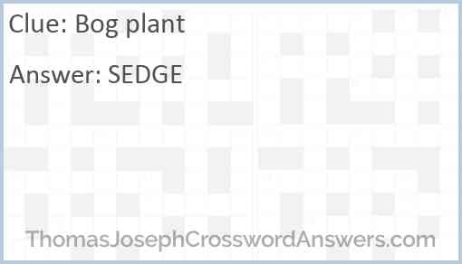 Bog plant Answer