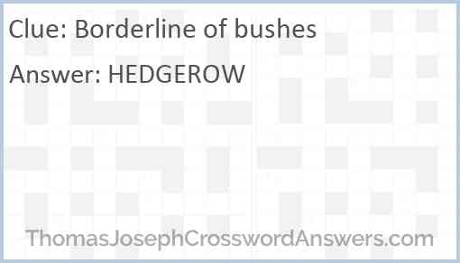 Borderline of bushes Answer