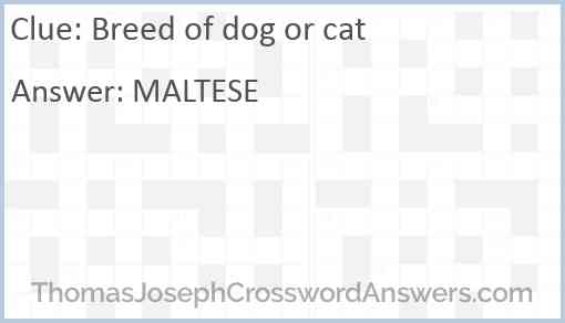 Breed of dog or cat Answer