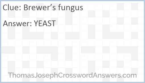 Brewer’s fungus Answer