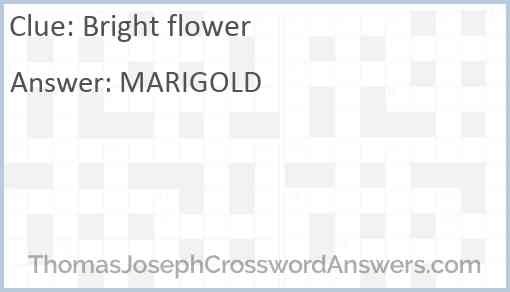 Bright flower Answer