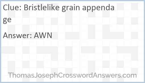 Bristlelike grain appendage Answer