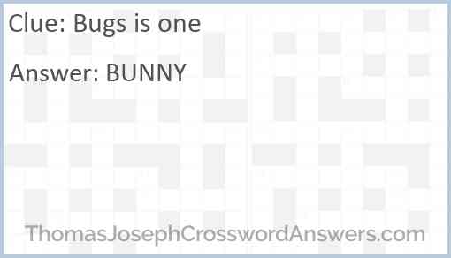 Bugs is one Answer