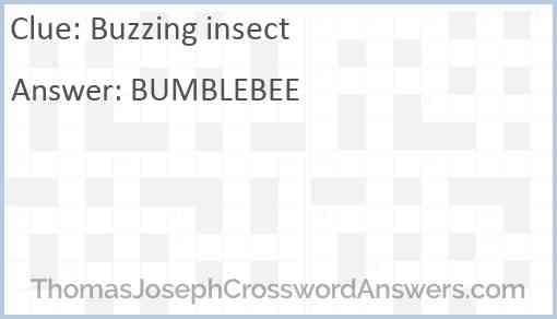 Buzzing insect Answer