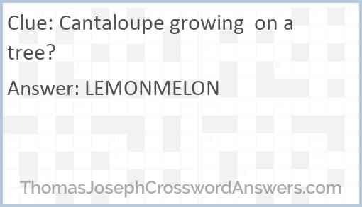 Cantaloupe growing  on a tree? Answer