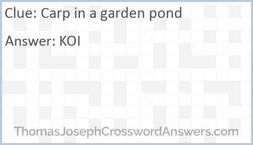 Carp in a garden pond Answer