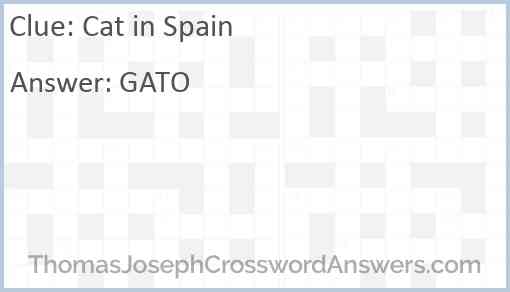 Cat in Spain Answer