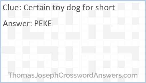 Certain toy dog for short Answer
