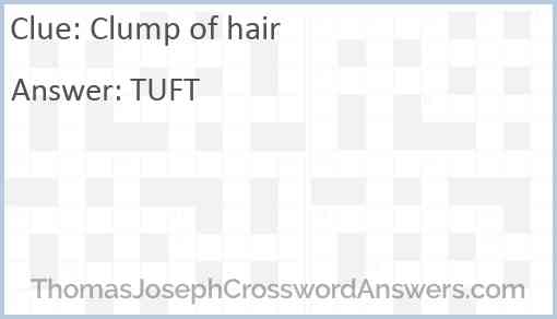 Clump of hair Answer