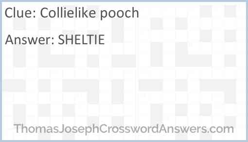 Collielike pooch Answer