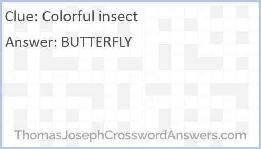 Colorful insect Answer