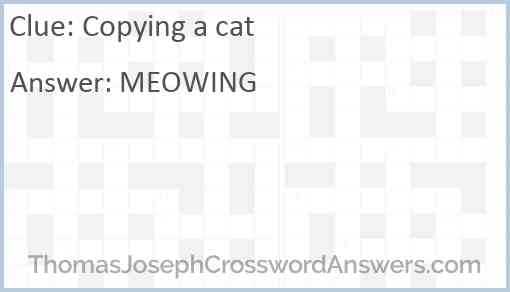 Copying a cat Answer