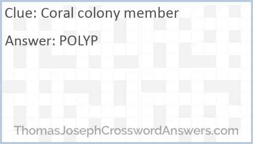 Coral colony member Answer