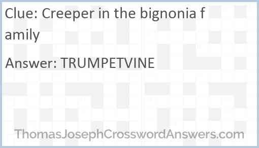 Creeper in the bignonia family Answer