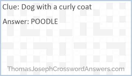 Dog with a curly coat Answer