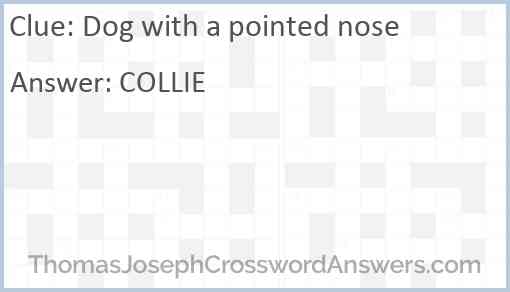 Dog with a pointed nose Answer