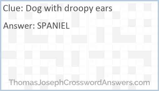 Dog with droopy ears Answer