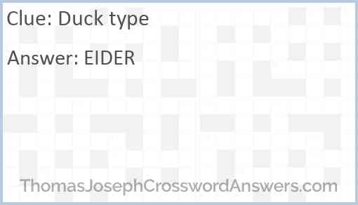 Duck type Answer