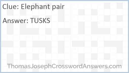 Elephant pair Answer