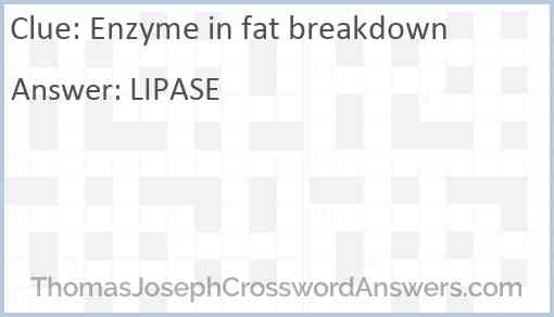 Enzyme in fat breakdown Answer