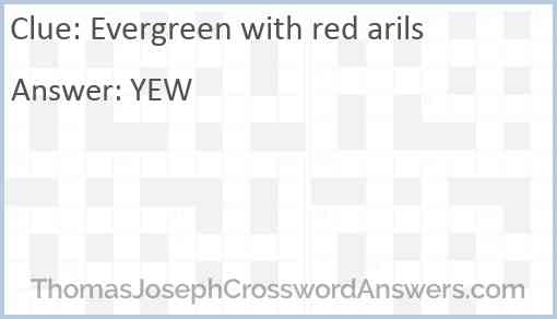 Evergreen with red arils Answer