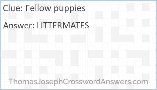 Fellow puppies Answer