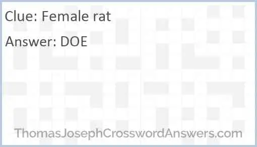 Female rat Answer