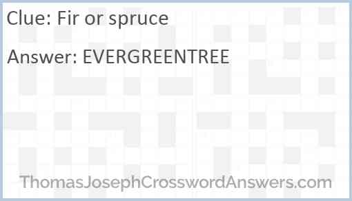 Fir or spruce Answer