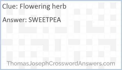 Flowering herb Answer