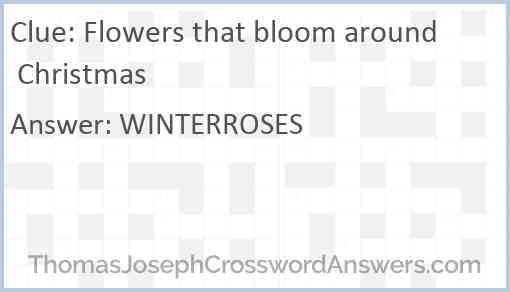 Flowers that bloom around Christmas Answer