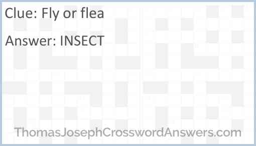 Fly or flea Answer