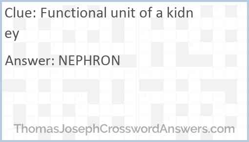 Functional unit of a kidney Answer