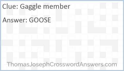 Gaggle member Answer