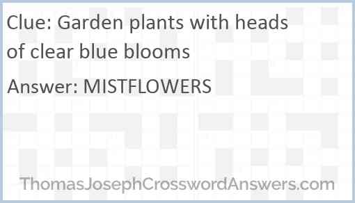 Garden plants with heads of clear blue blooms Answer