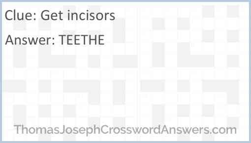 Get incisors Answer