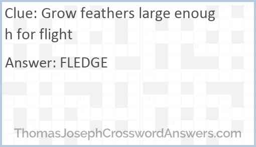 Grow feathers large enough for flight Answer