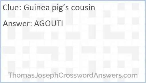Guinea pig’s cousin Answer